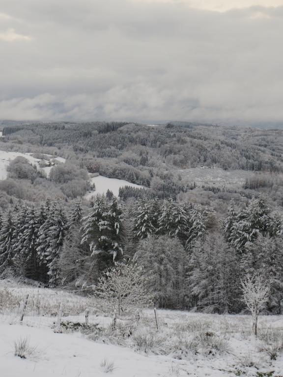 Les Grandes Fontaines Bed & Breakfast La Longine Bagian luar foto